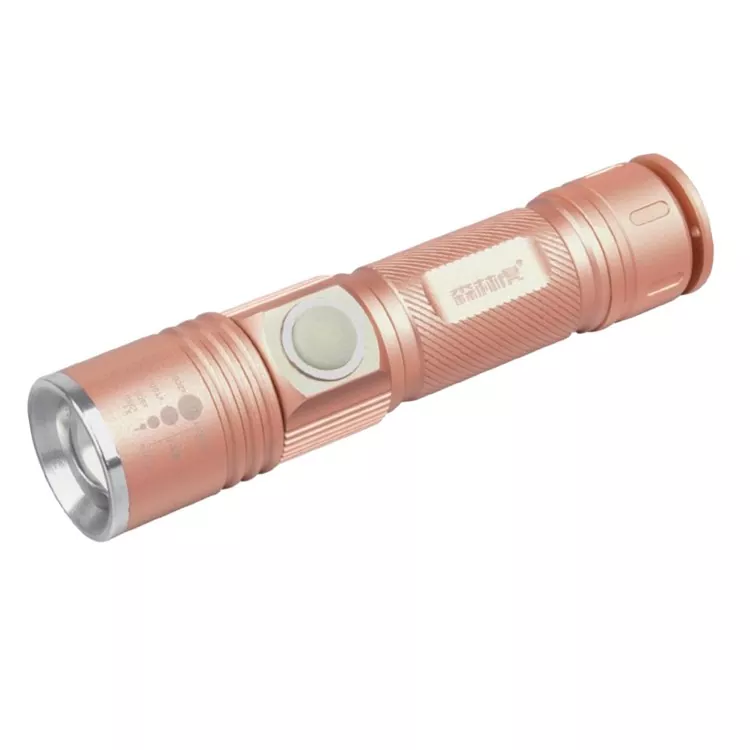 Mini lampe de poche LED porte-clés LED lumineuse pour un usage quotidien en Camping